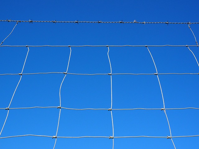 fence