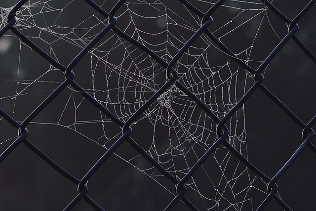 fence