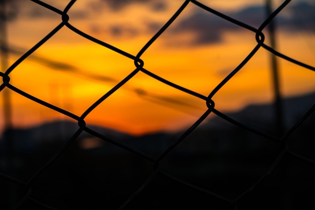 fence