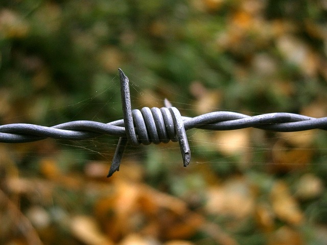 fencing