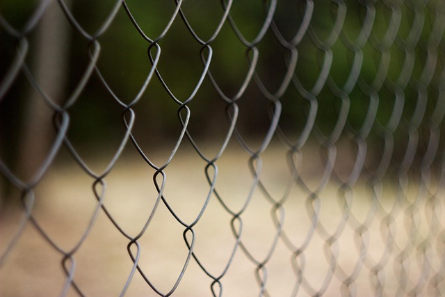fencing