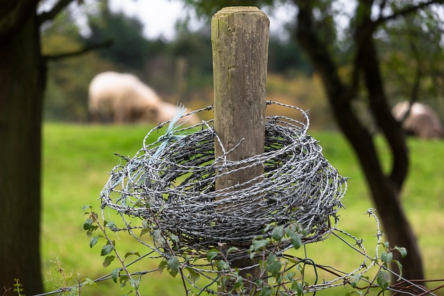 fencing