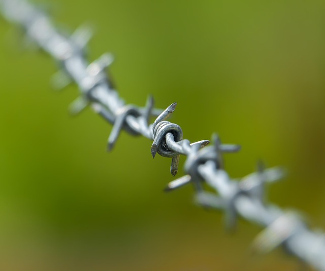fencing