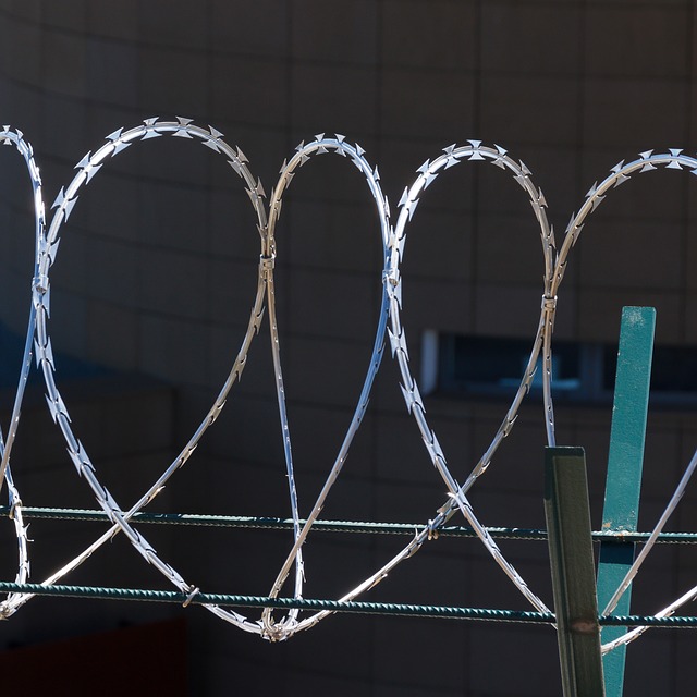 fencing
