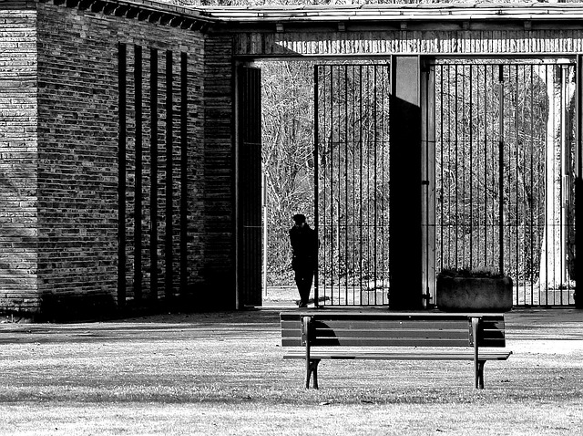 grief