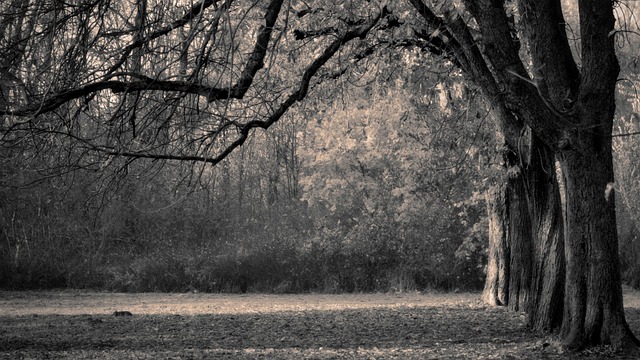 grief