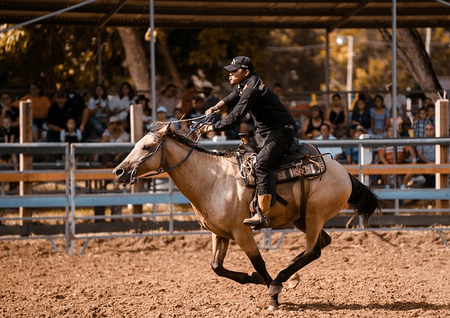 horse