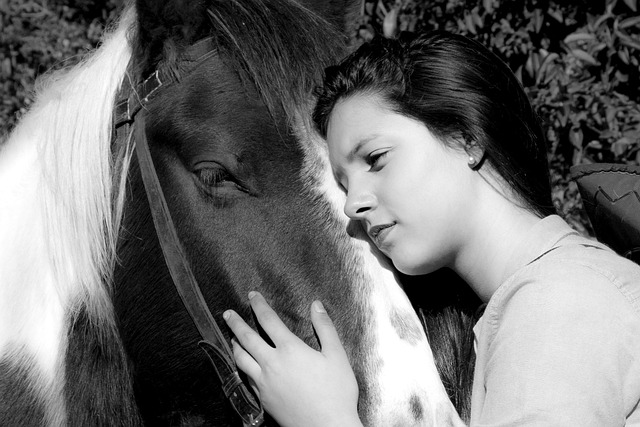 horse