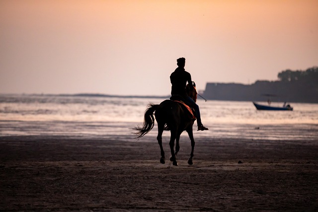 horse