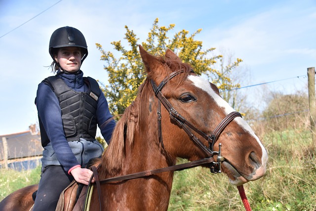horse