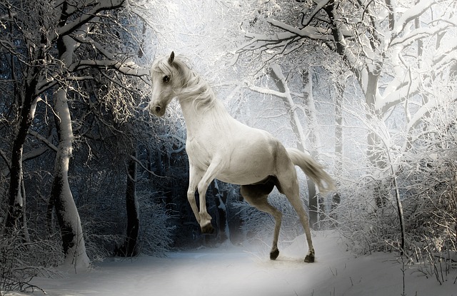 horse