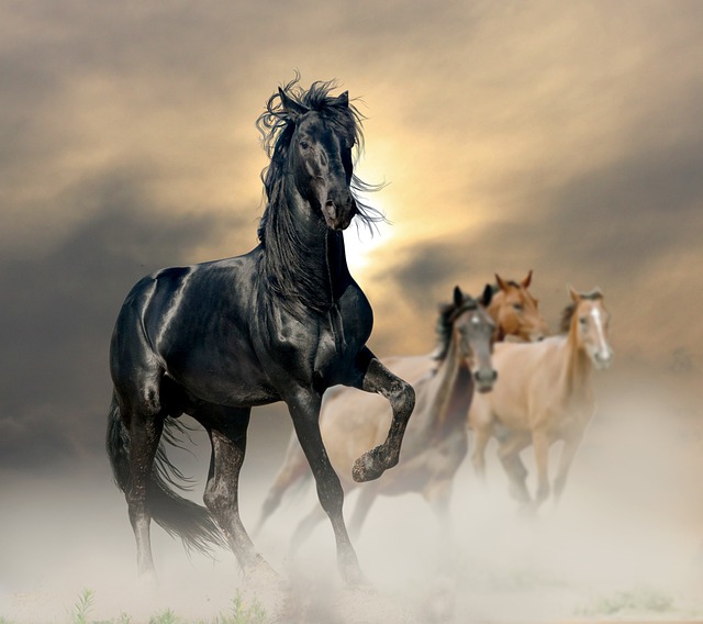 horse