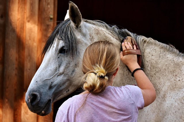 horse