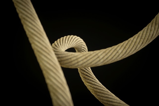 horse lead rope