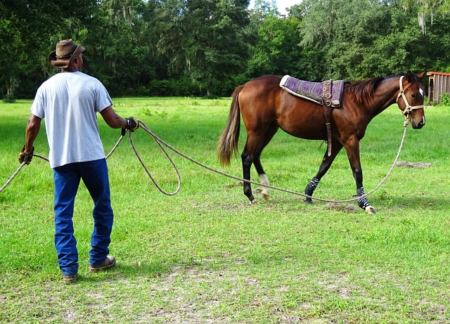 horse lead rope