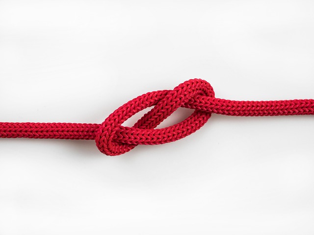 horse lead rope