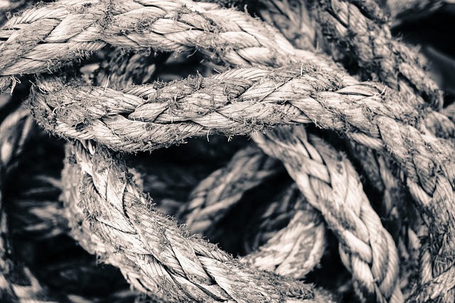 horse lead rope