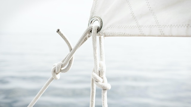 horse lead rope