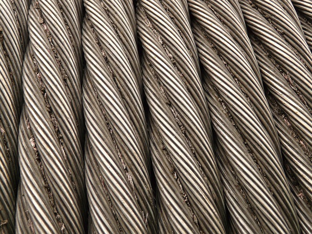 horse lead rope