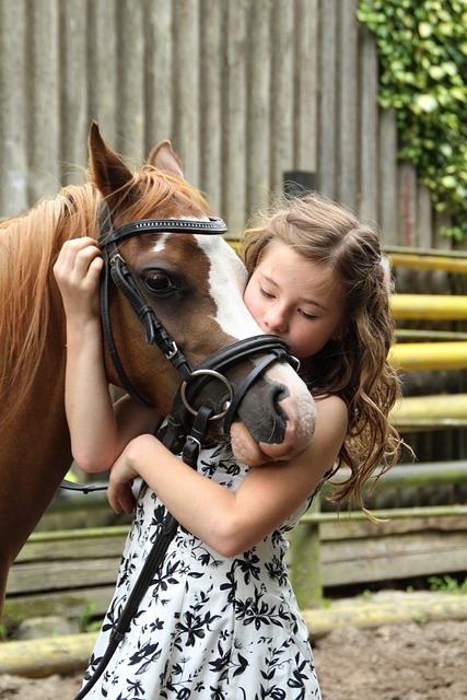 horse lead rope
