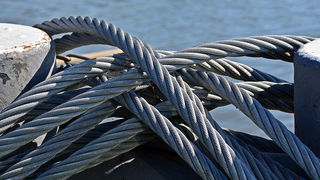 horse lead rope