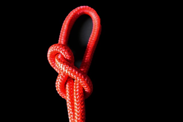 horse lead rope