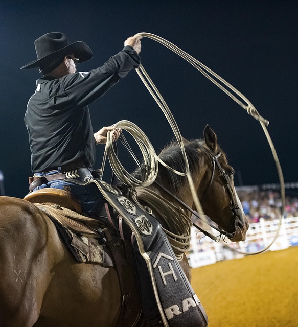 horse lead rope