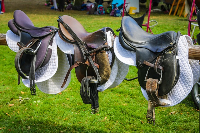 horses