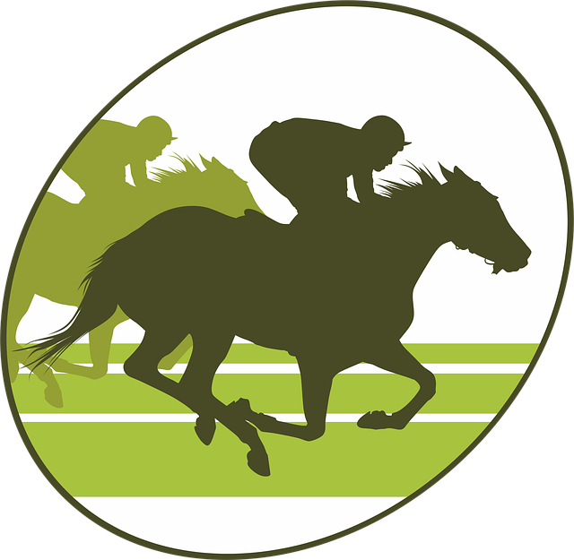 horses