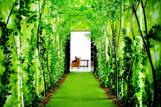 house rentals