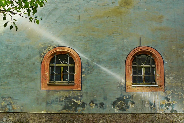 houses for rent