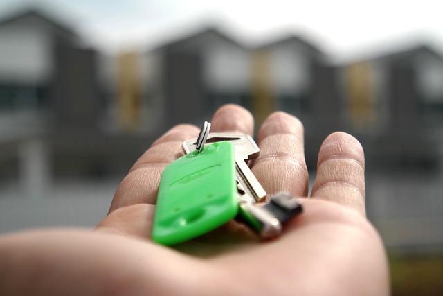 houses for rent