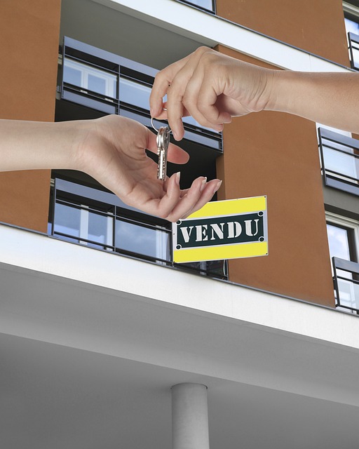 houses for rent