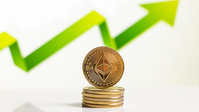investment courses