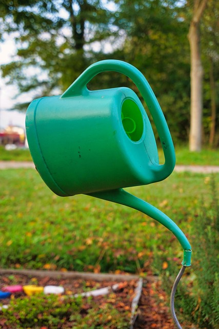 irrigation