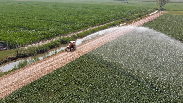 irrigation