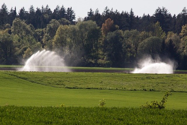 irrigation