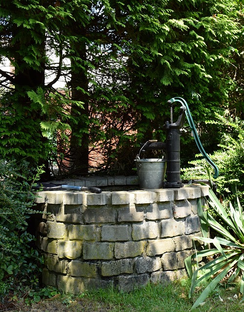 irrigation