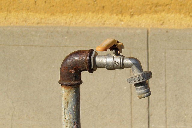 irrigation