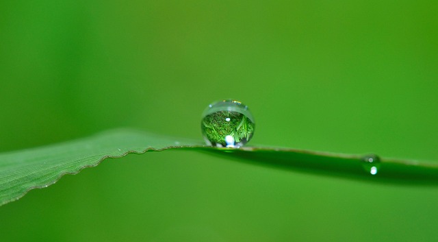 irrigation