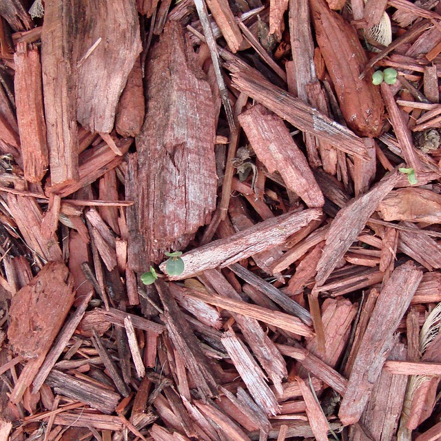 irrigation