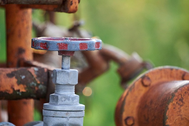 irrigation