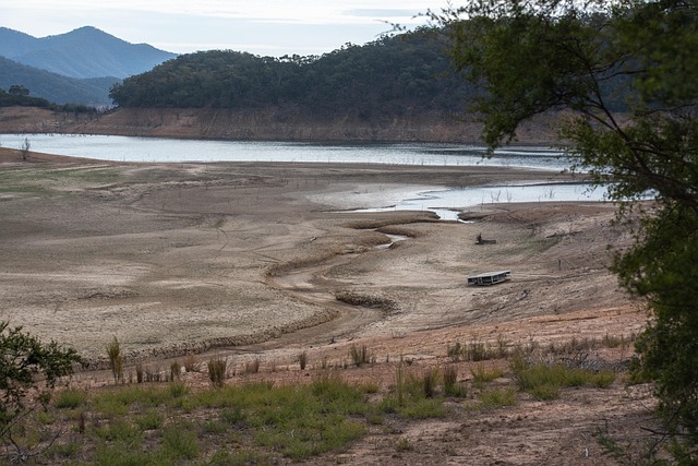 irrigation supplies