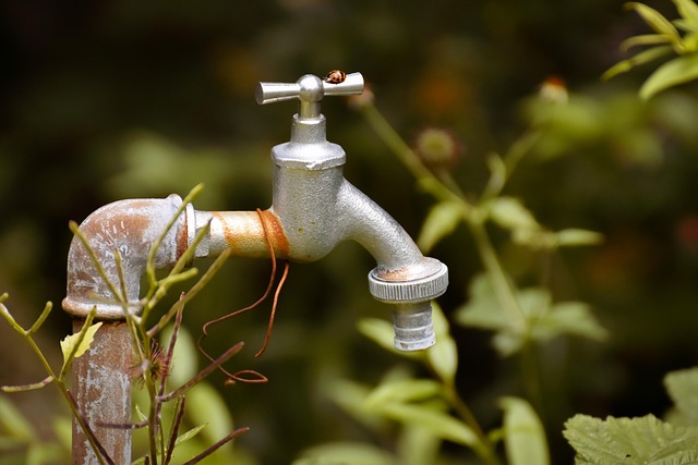 irrigation supplies