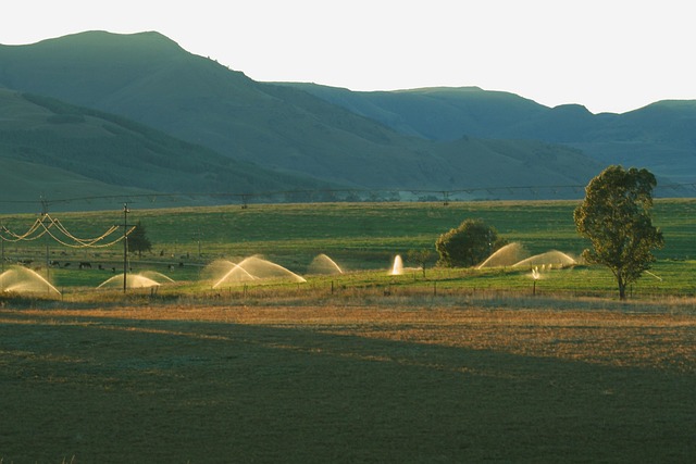 irrigation supplies