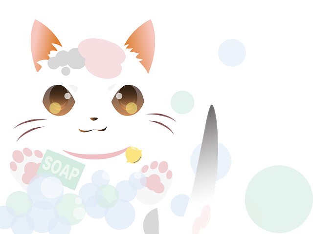 npressfetimg-111.png