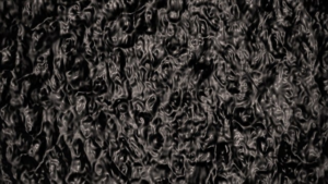 npressfetimg-1194.png