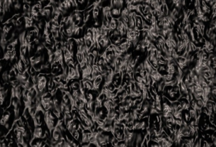 npressfetimg-1194.png