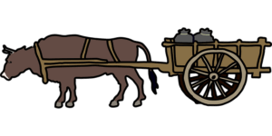 npressfetimg-1635.png