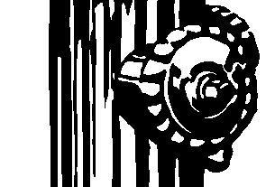 npressfetimg-1678.png